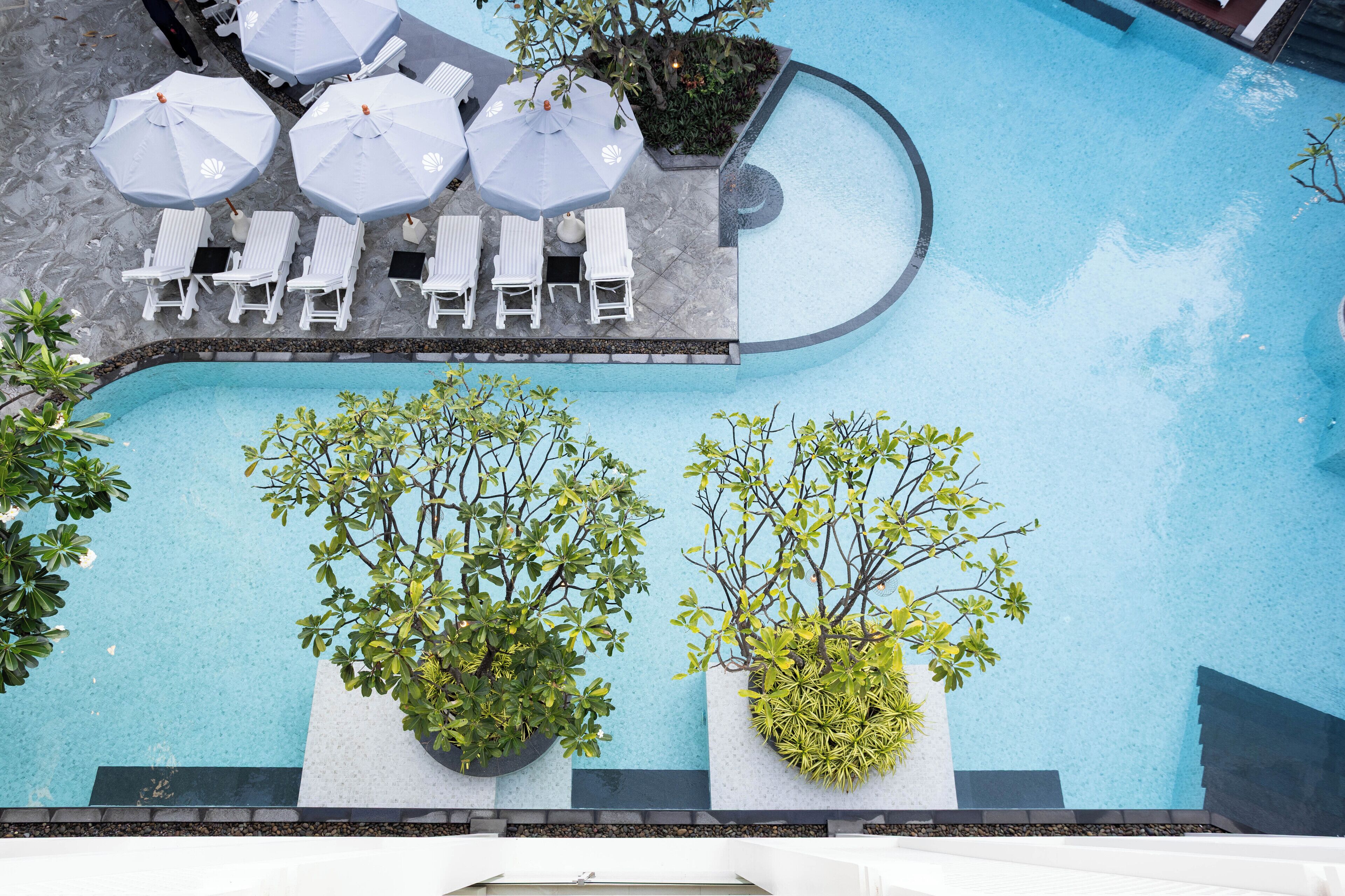 A rooftop pool area with lounge chairs and umbrellas, surrounded by potted plants.