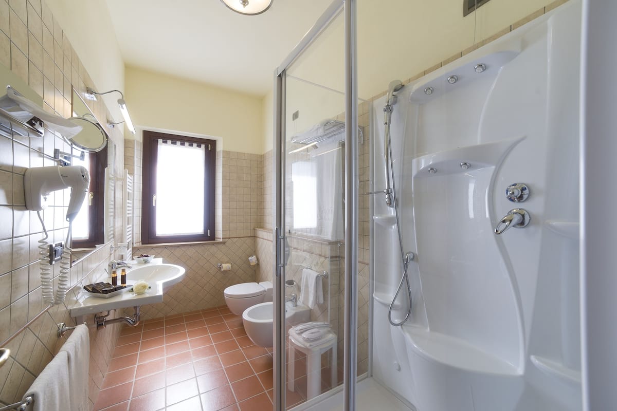 shower, free toiletries, hair dryer, bidet