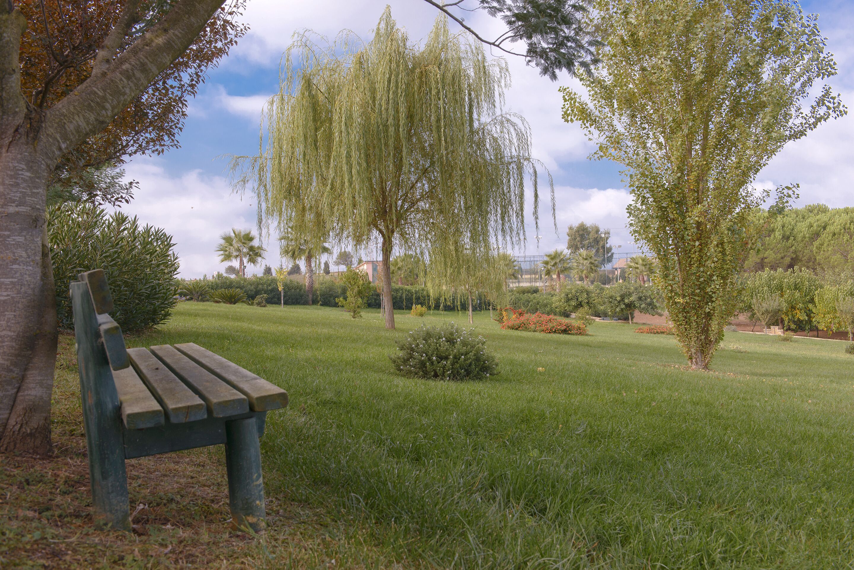 Photo - Popilia Country Resort