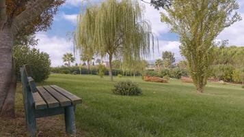 A park with a wooden bench, lush greenery, and trees.