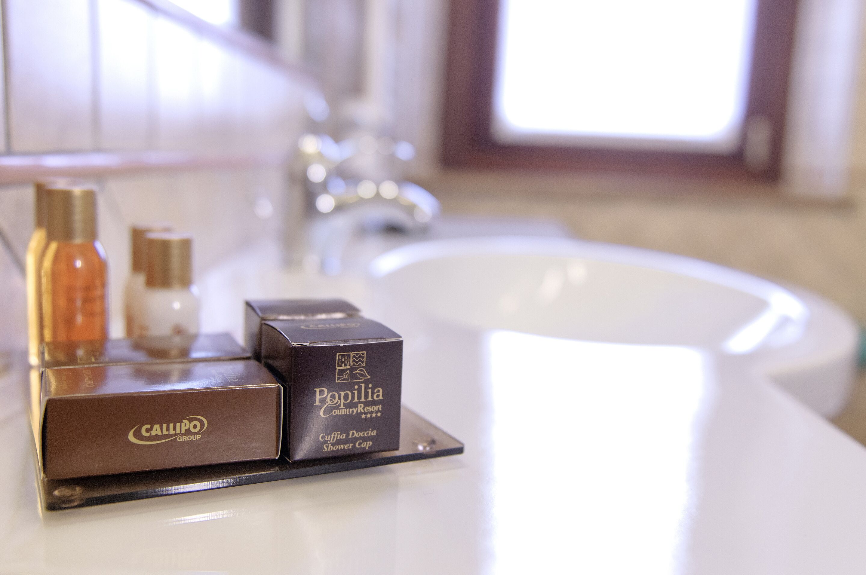 shower, free toiletries, hair dryer, bidet