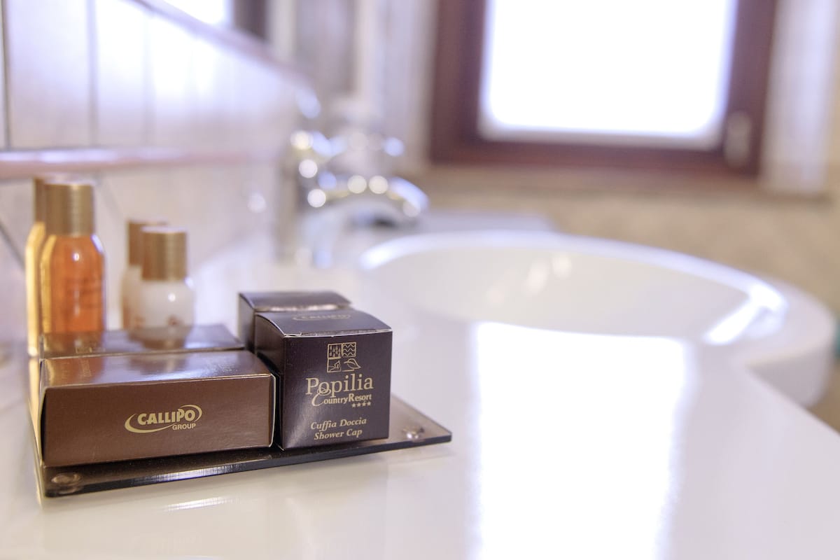 shower, free toiletries, hair dryer, bidet