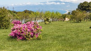 A grassy field with a pink flowering bush and a view of a coastline and mountains in the distance. - Popilia Country Resort (Maierato)