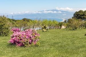 Un campo cubierto de hierba con un arbusto de flores rosadas y una vista de la costa y montañas en la distancia.