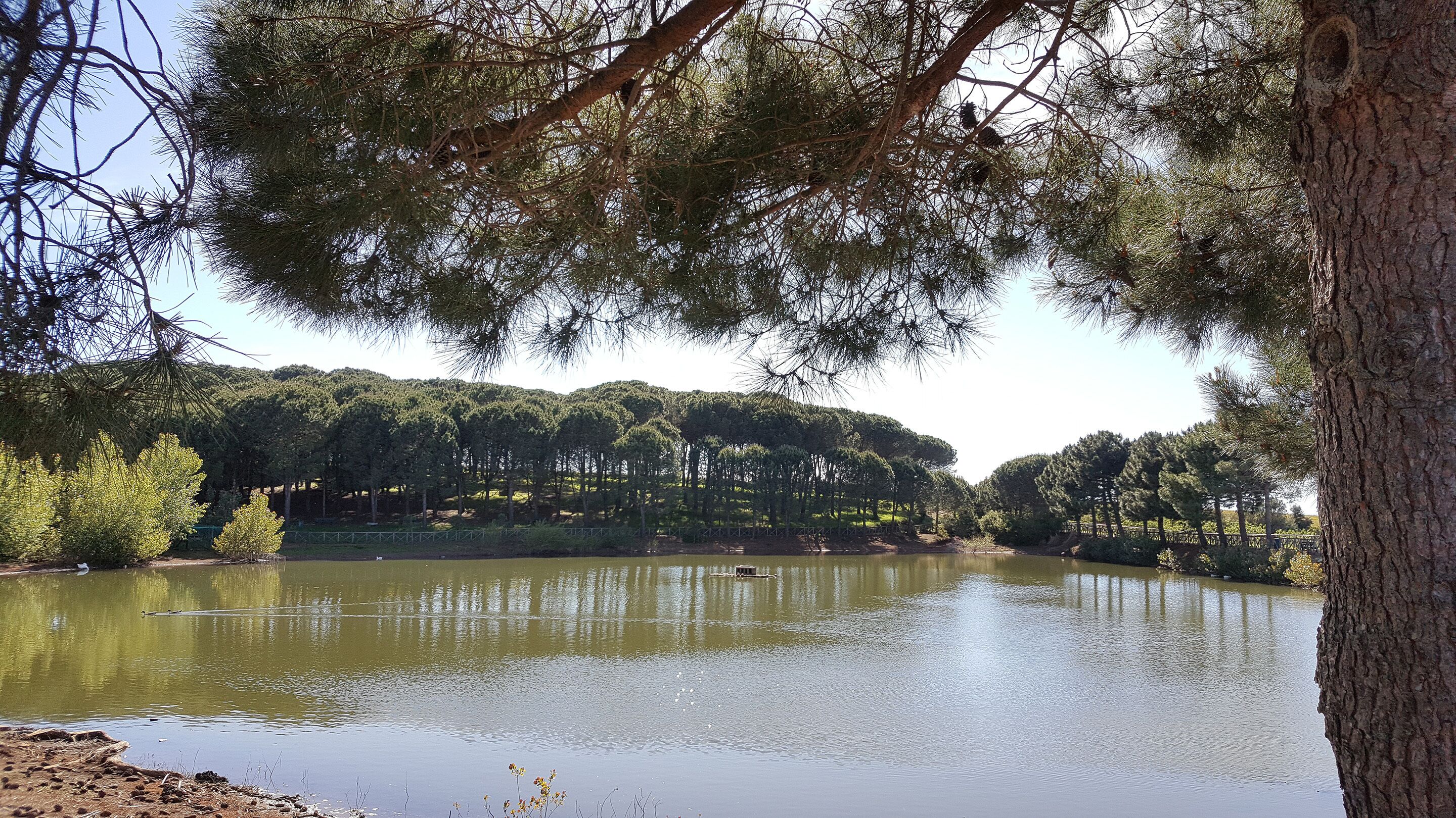 Photo - Popilia Country Resort