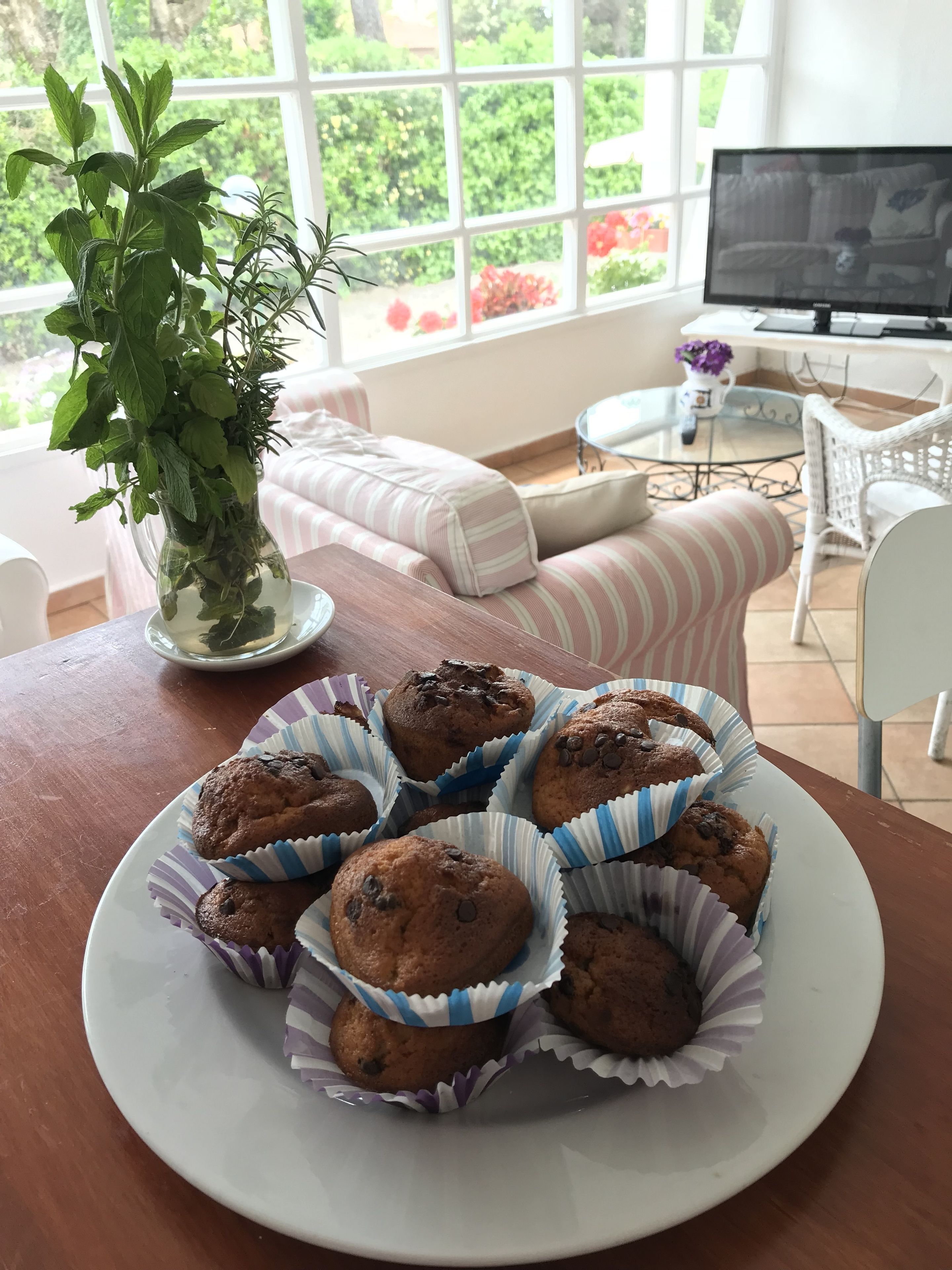 lunch, dinner served; italian cuisine, beach views