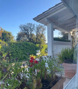 A garden with various plants and a wooden structure.