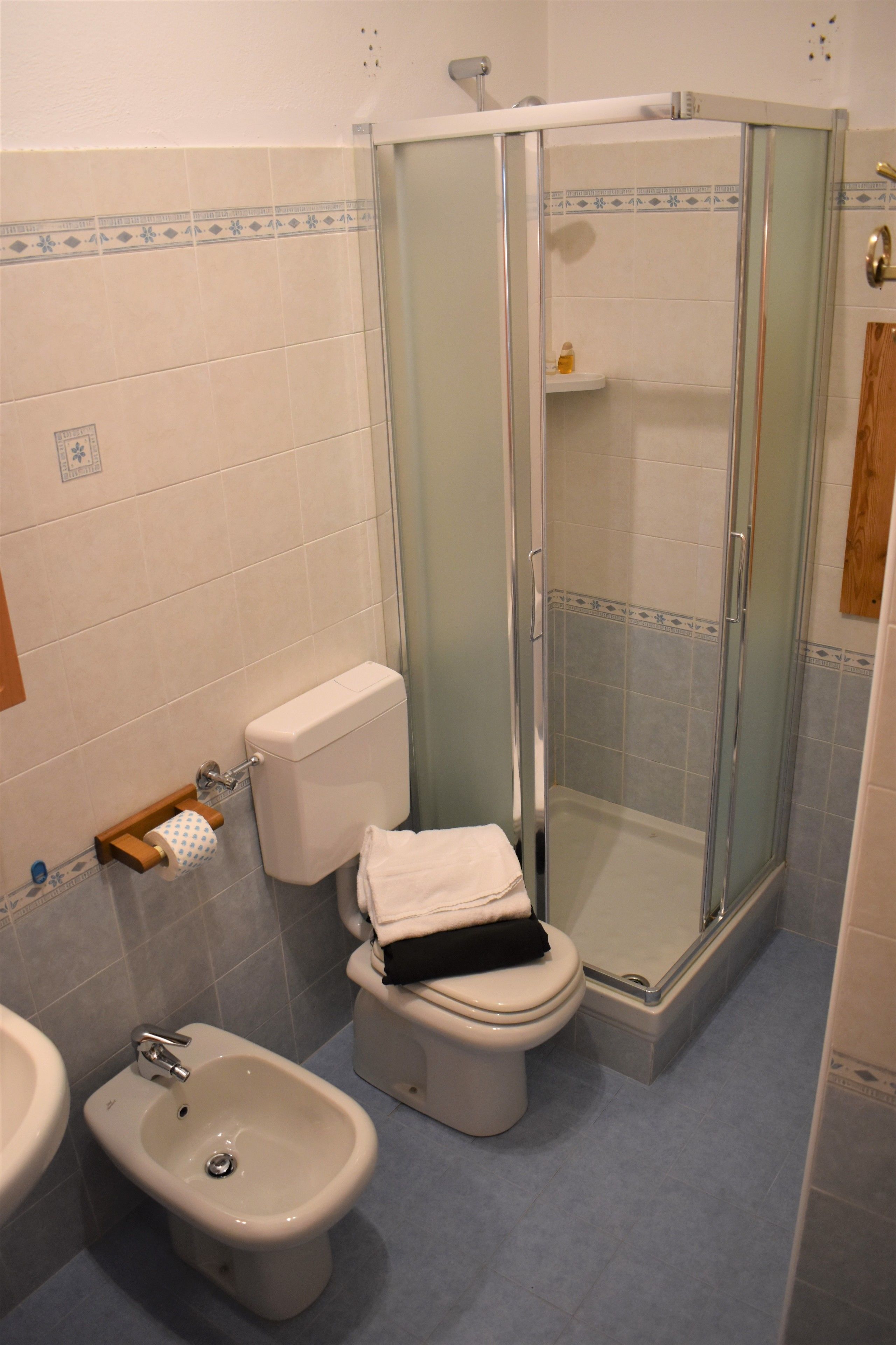 Une salle de bain dotée d’une douche à parois de verre, d’un bidet et de toilettes.