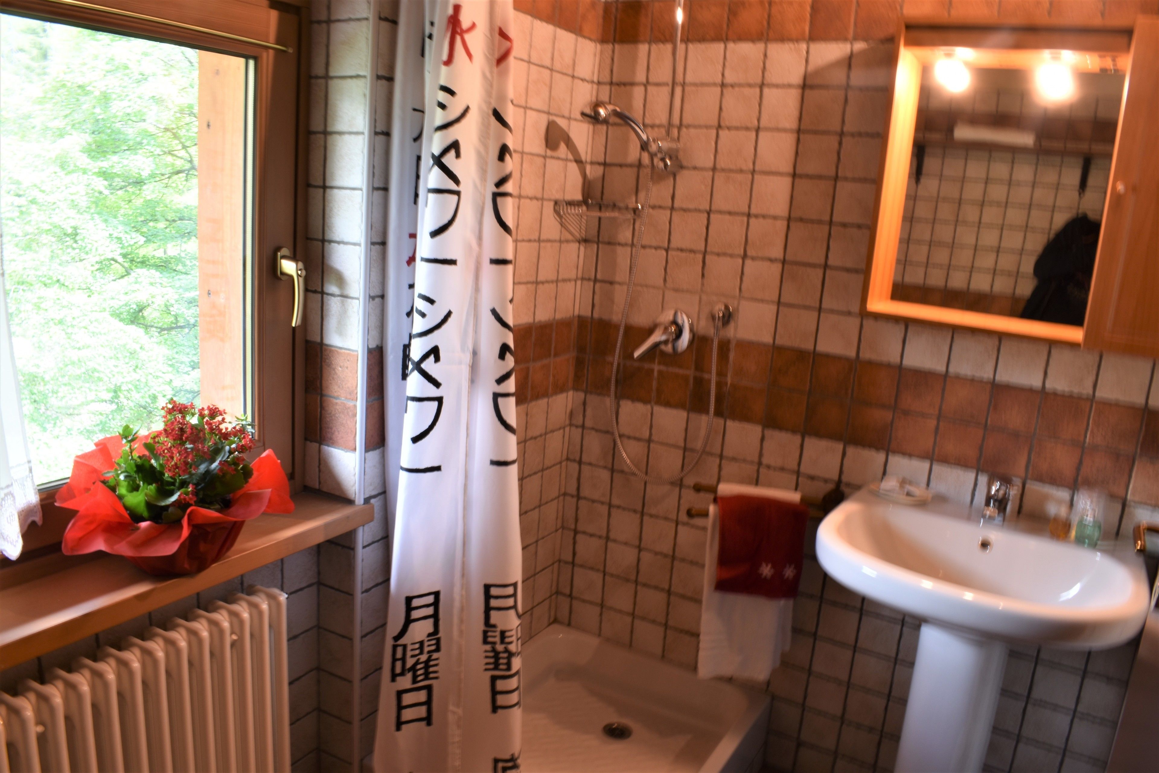 Un baño con ducha, lavamanos y una ventana con planta en maceta.