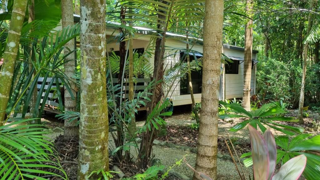 A small, single-story building surrounded by dense tropical vegetation.