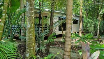 A small, single-story building surrounded by dense tropical vegetation.