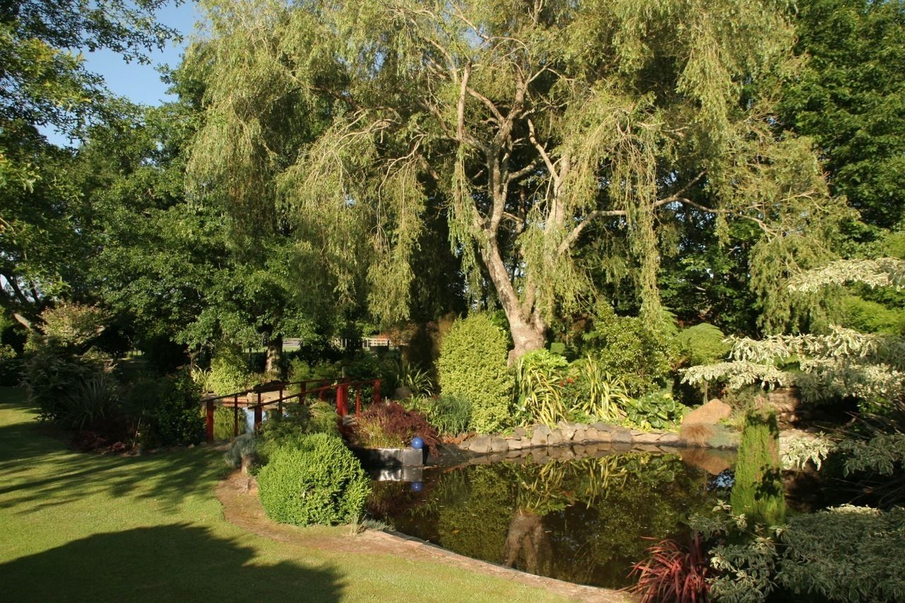 Un jardin paisible avec un étang, une végétation luxuriante et un pont en bois.