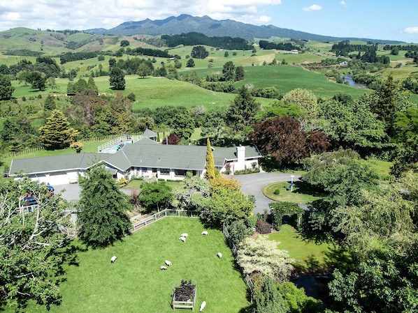 A large house with a spacious lawn and a fenced area for sheep. - Somersal Bed & Breakfast (Pirongia)