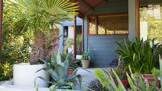 Garden - Aspen Lodge Motel (Hanmer Springs)