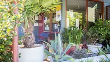 Accessible Studio | Courtyard view