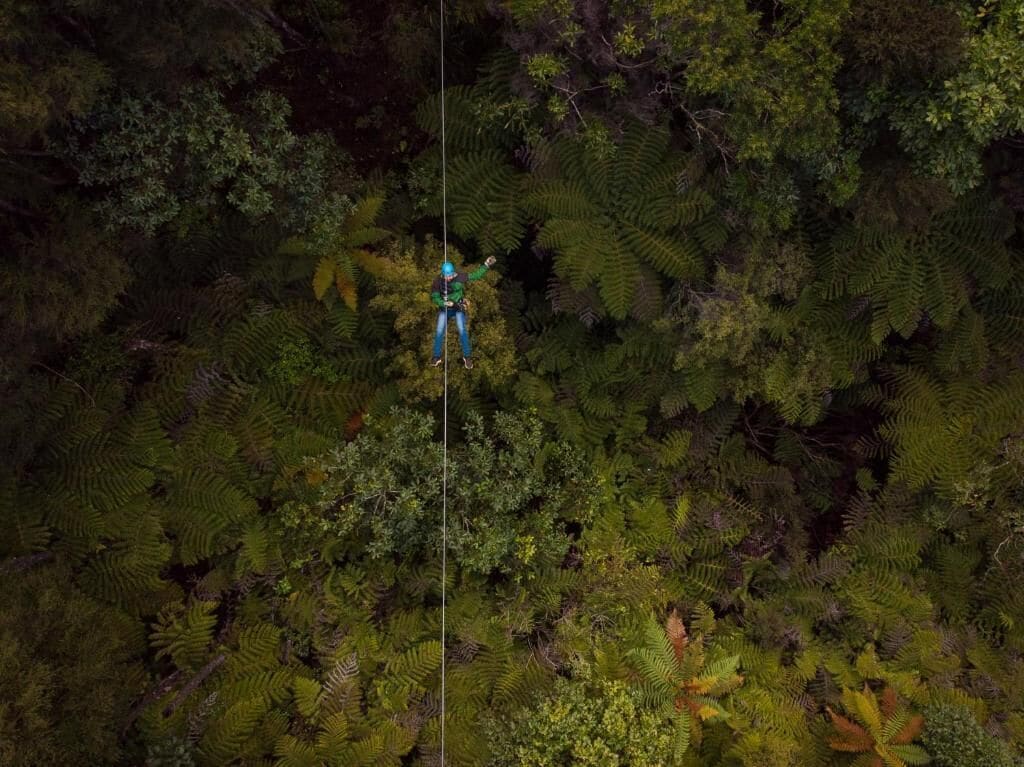 A person zip-lining through a dense forest.