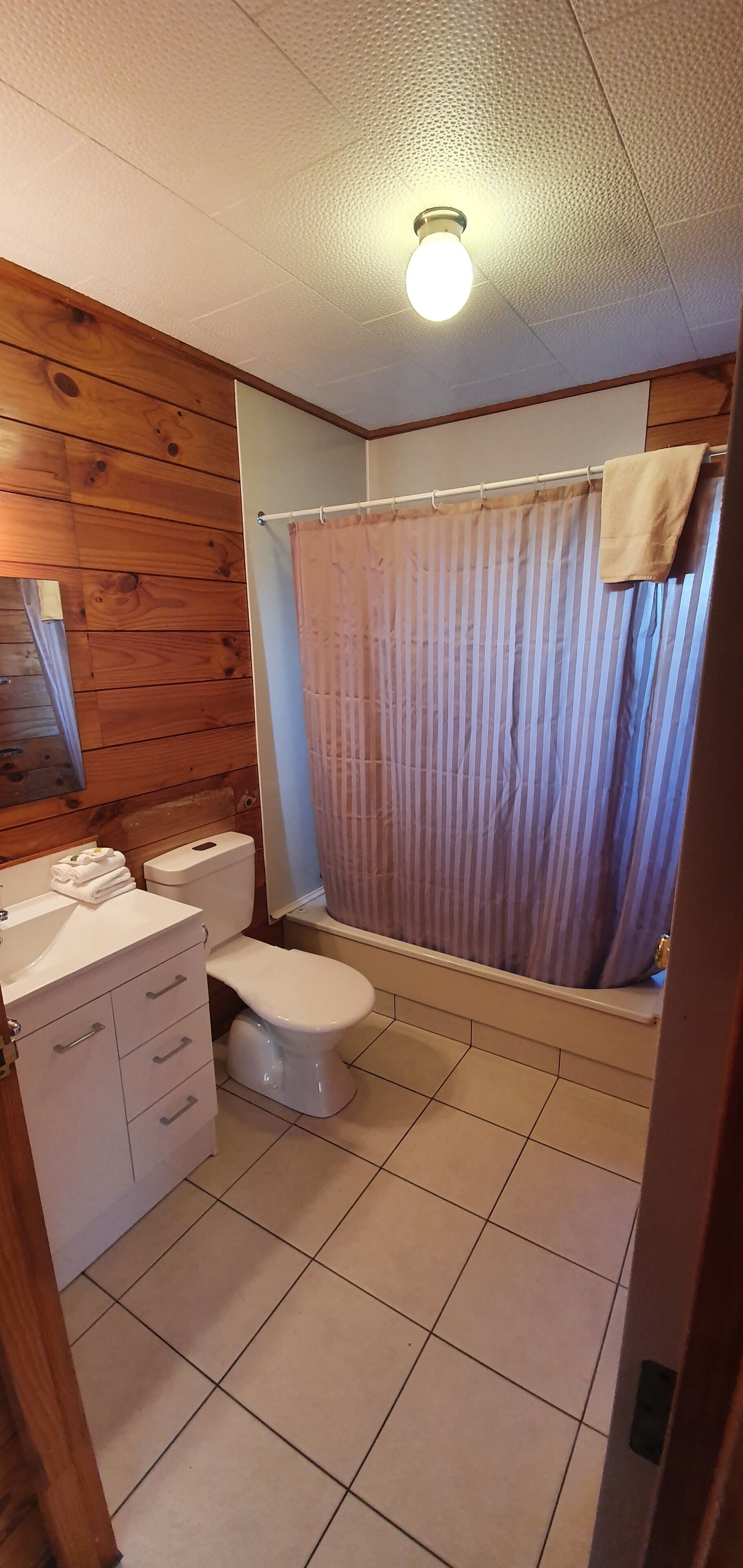 Et badeværelse med trævæg, et hvidt toilet, bruseforhæng og en lysarmatur.