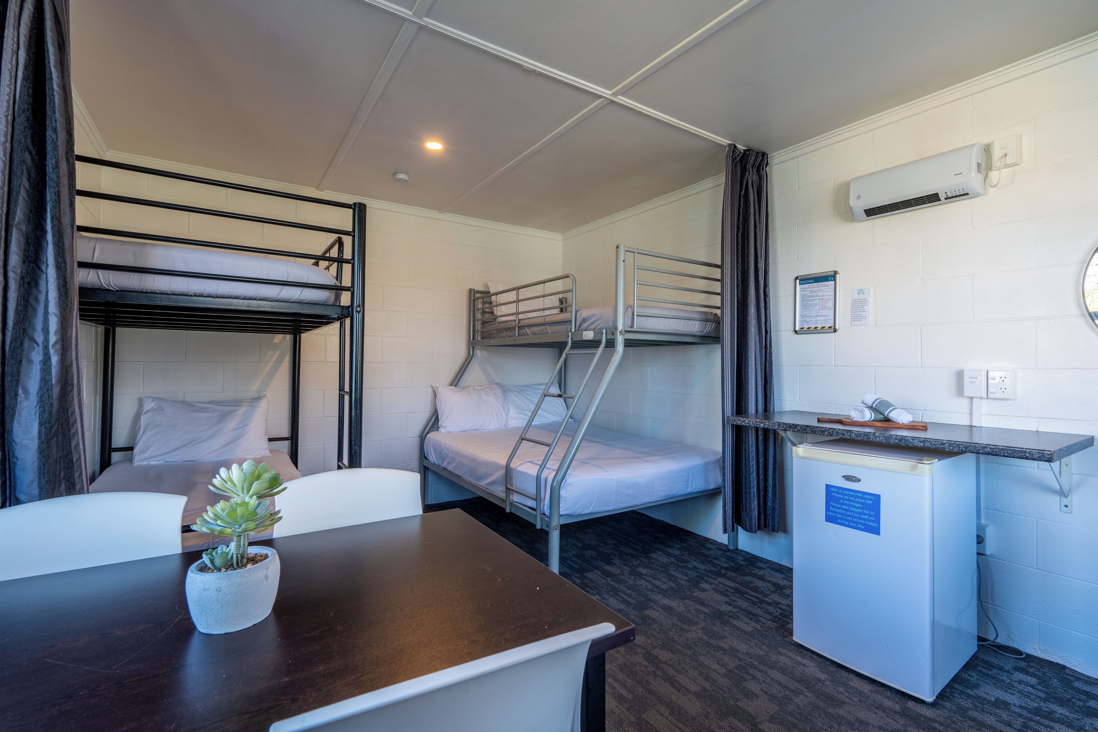 A compact room with bunk beds, a small kitchenette, a desk, and a potted plant.