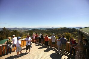 Ecotours - Tasman Holiday Parks – Coromandel (Coromandel)