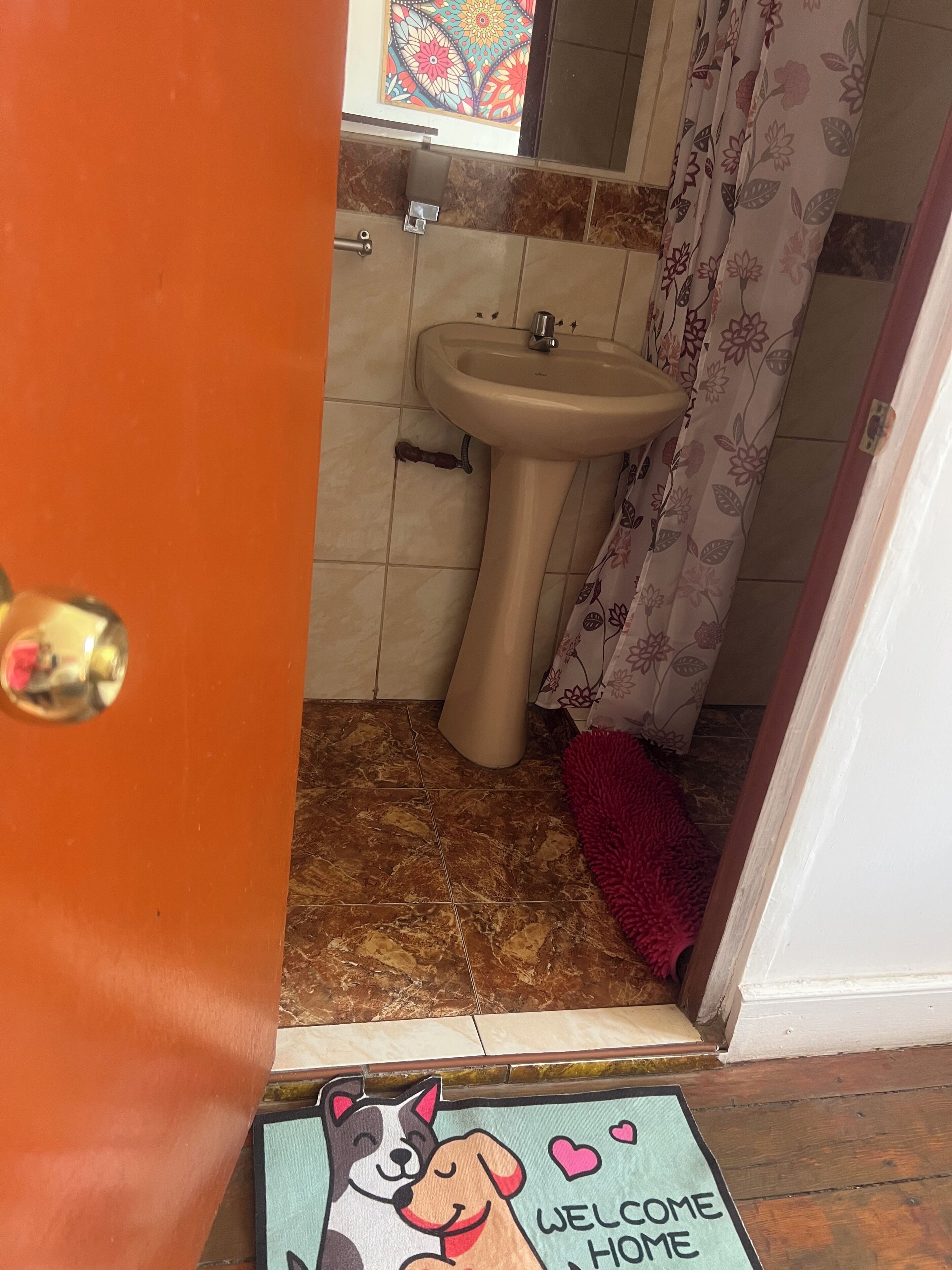 Photo - Holistic Scandinavia House