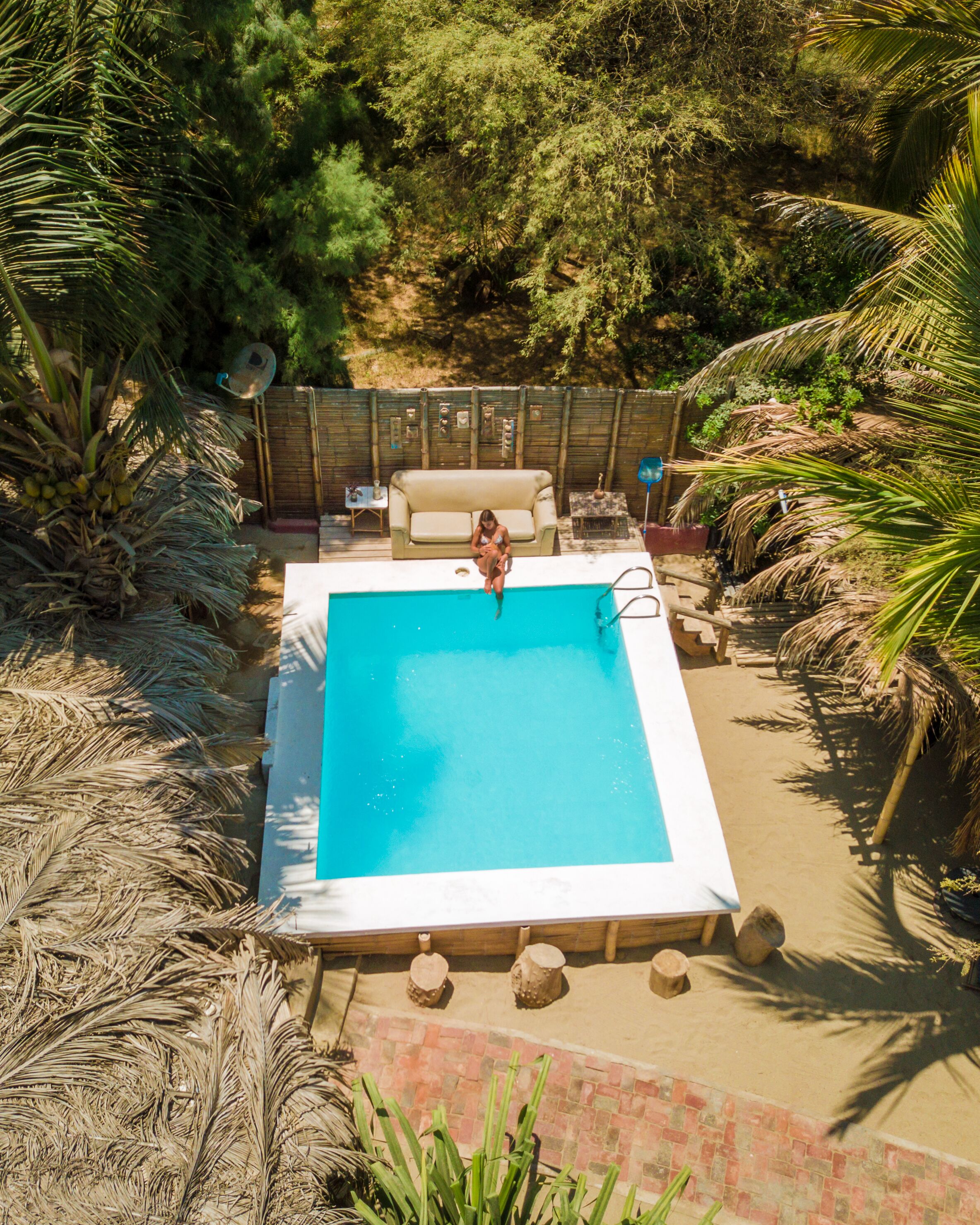 A rectangular pool with a white edge, surrounded by palm trees and a wooden deck.