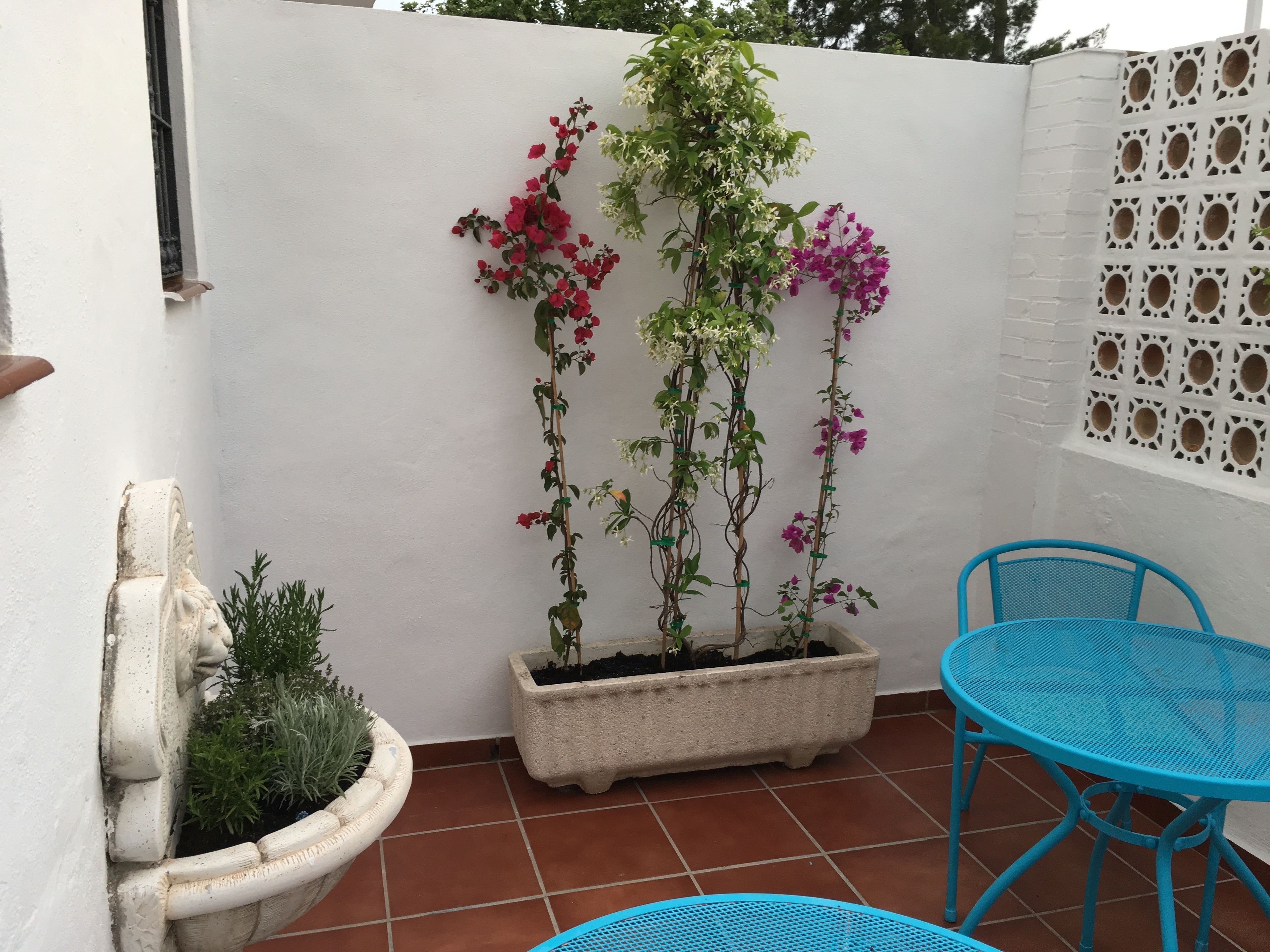 Photo - La Moraga de Poniente Malaga Hostel