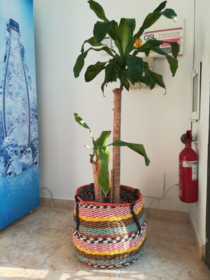 Detalle del interior