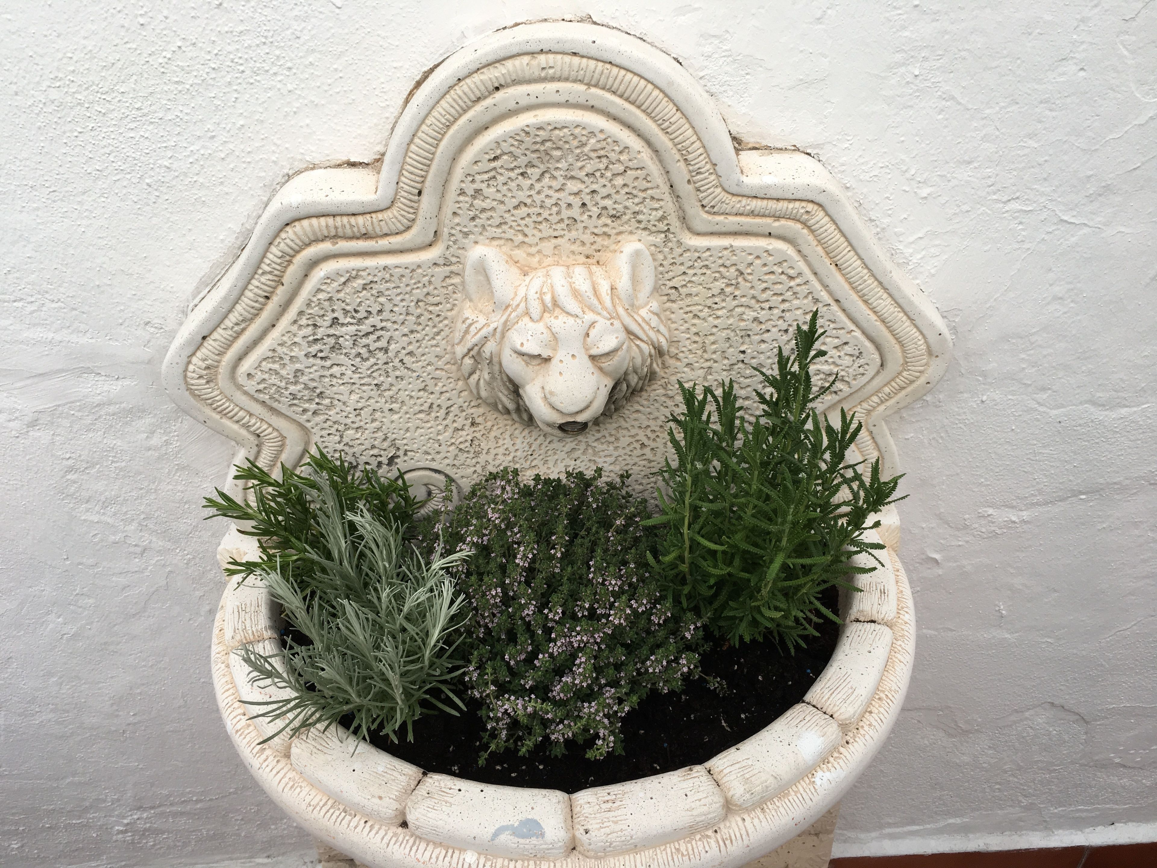 Photo - La Moraga de Poniente Malaga Hostel