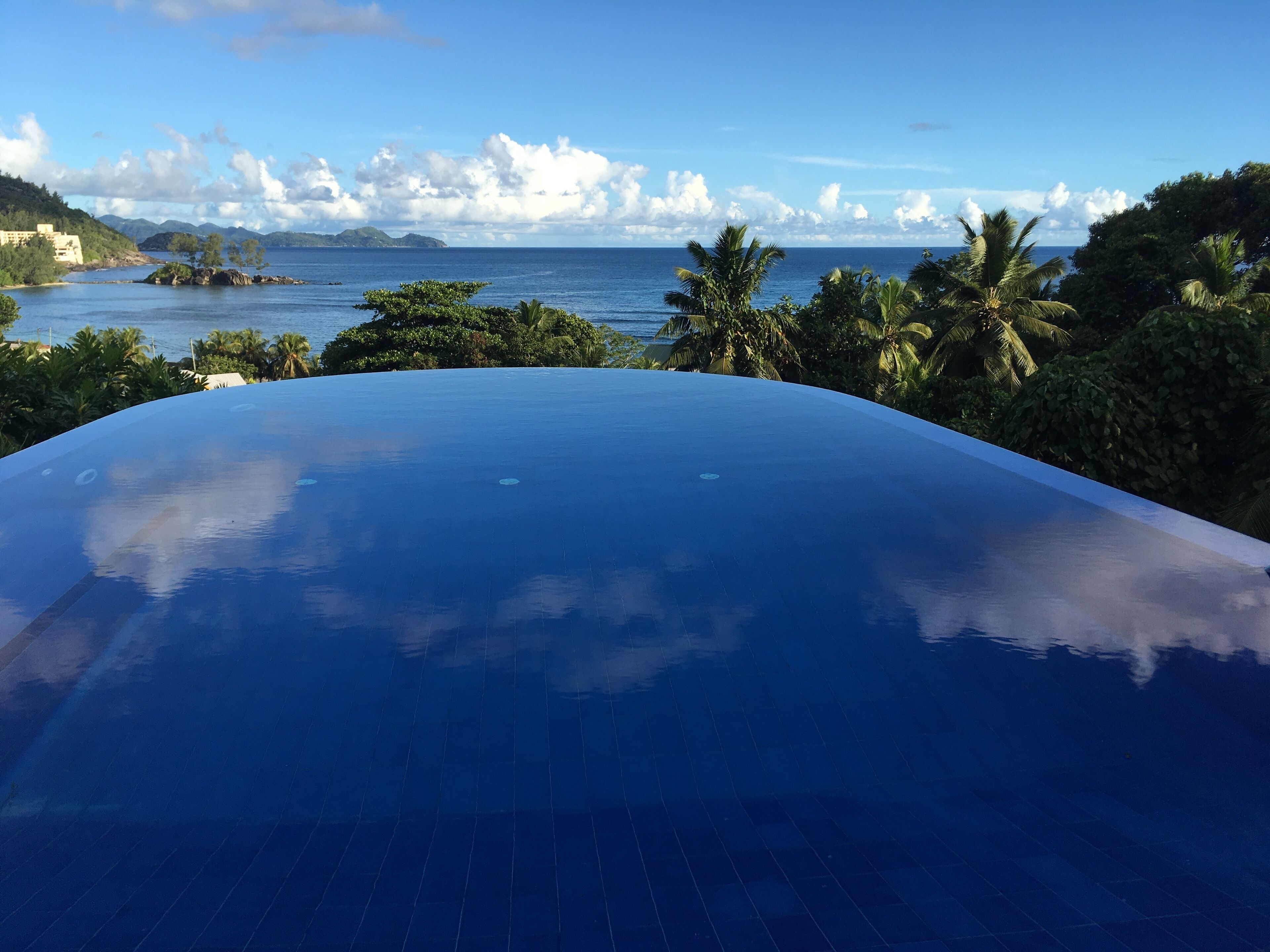 Una piscina con vista sull'oceano e palme.