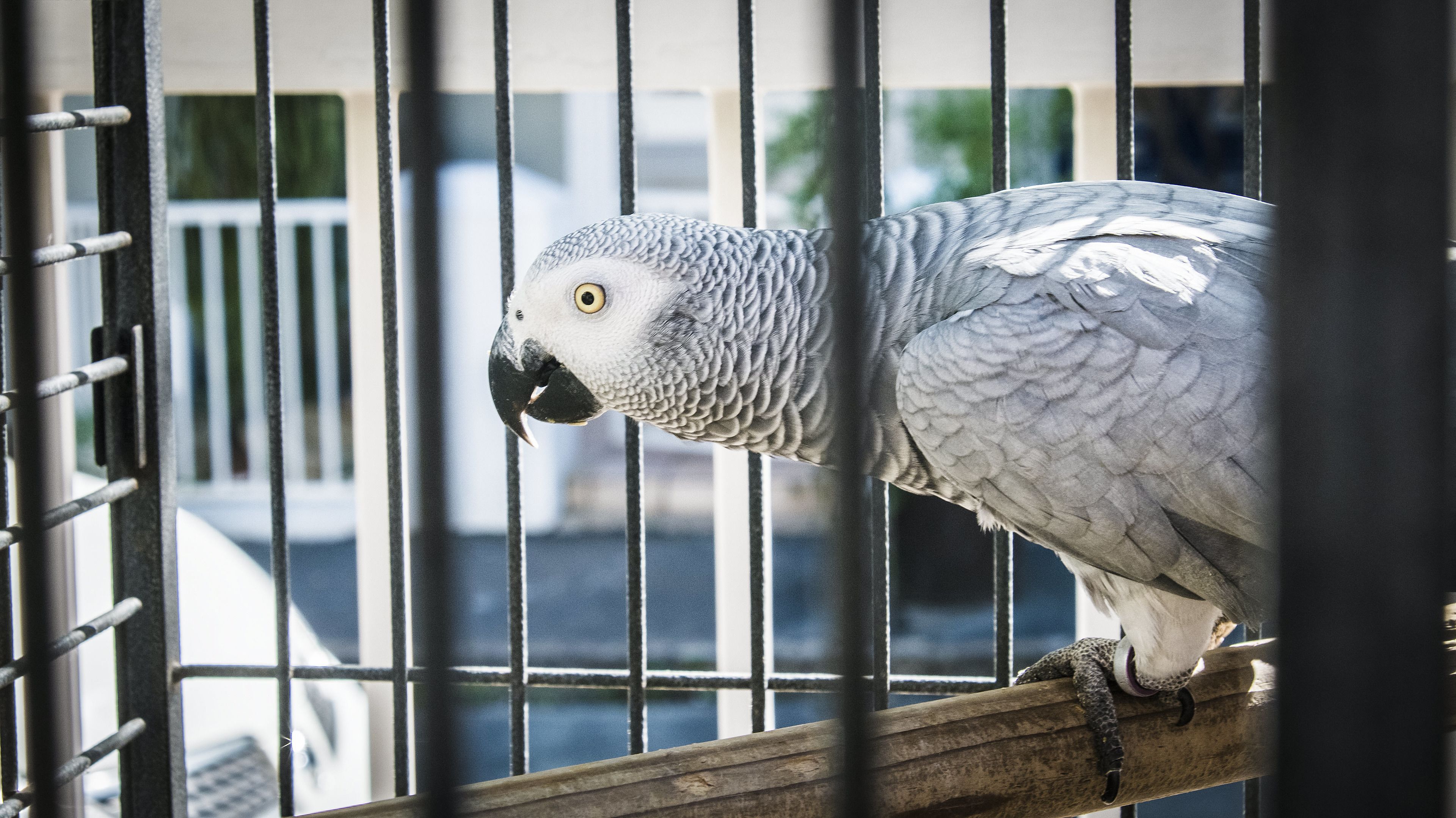 Foto - Wilton Manor SOLAR ENERGY