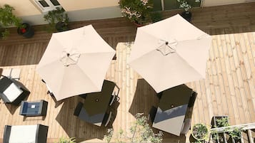 Terras