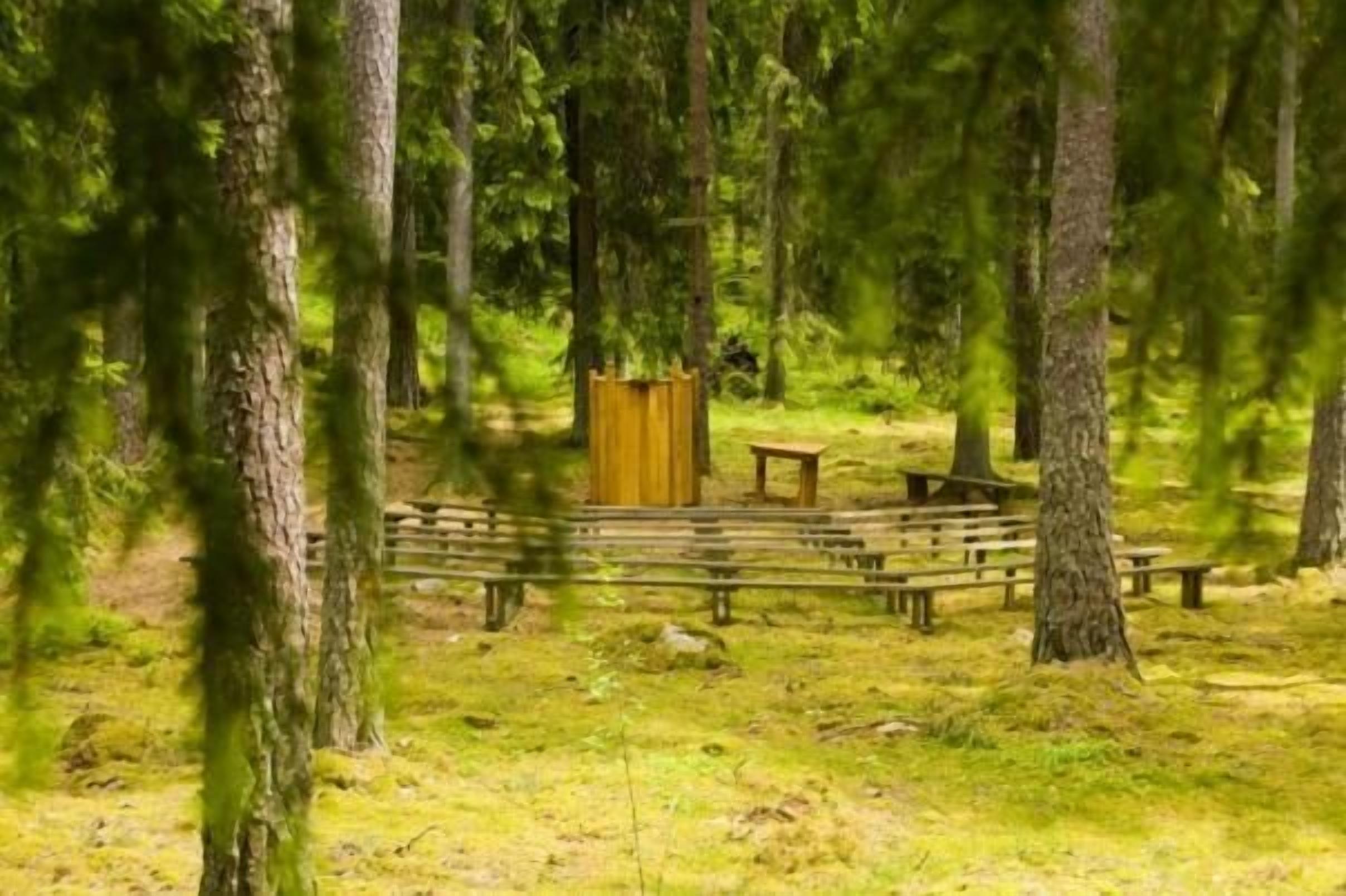A forested area with a wooden bench and a small wooden structure, likely a picnic table or shelter.