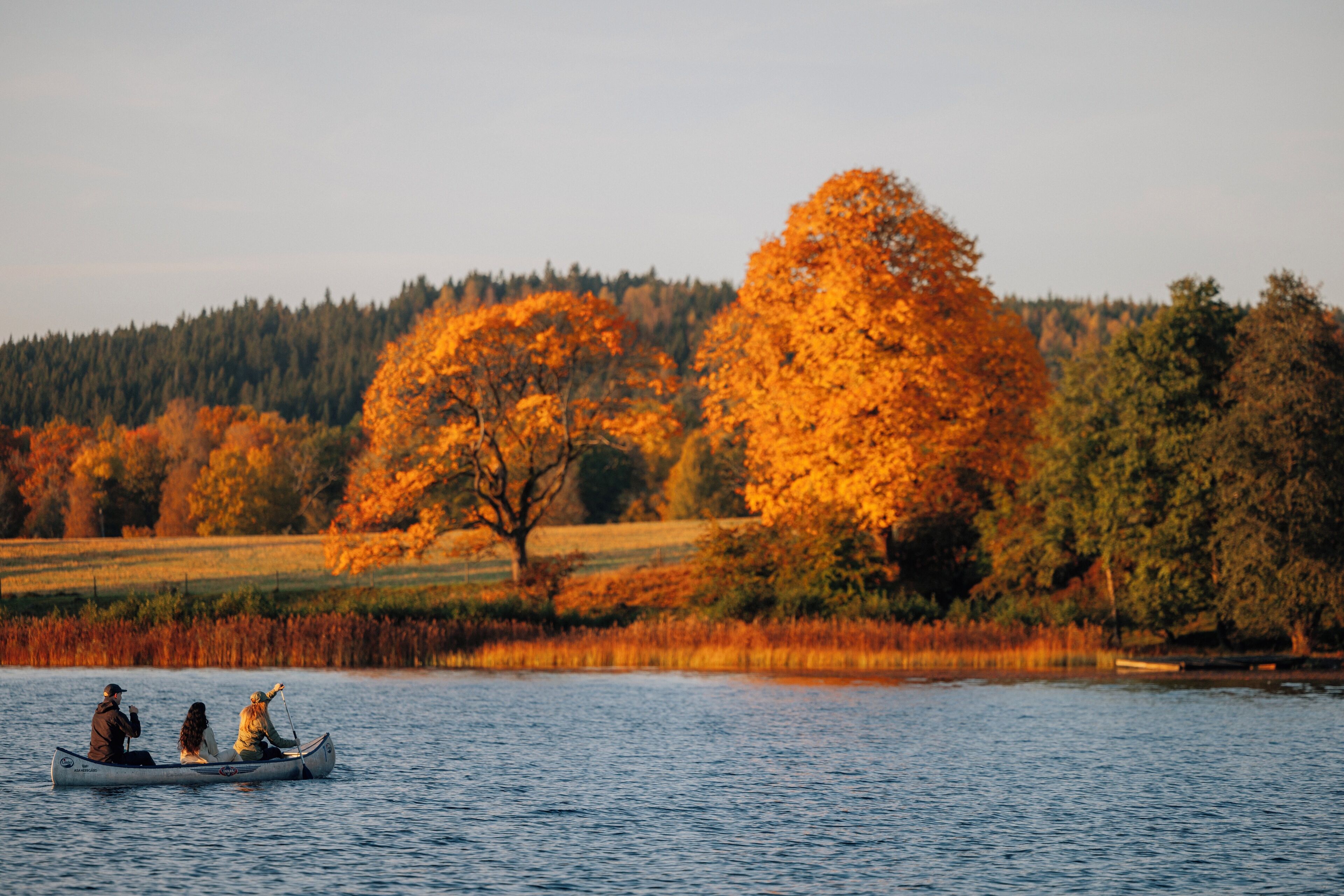 En stilla sjö med en roddbåt där tre personer sitter, omgiven av höstlövsverk och en skog i bakgrunden.