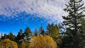 Pemandangan dari properti