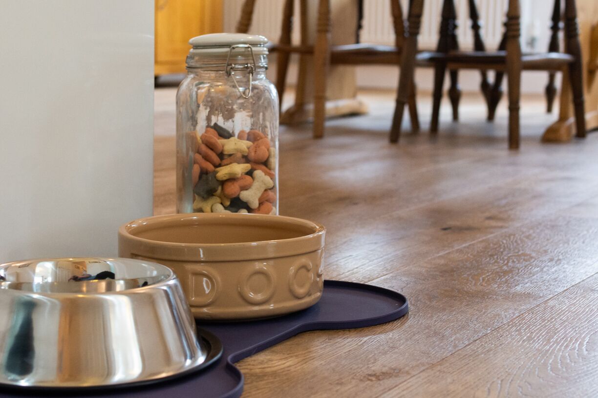 A pet feeding area with a metal bowl and a ceramic dish on a wooden floor.