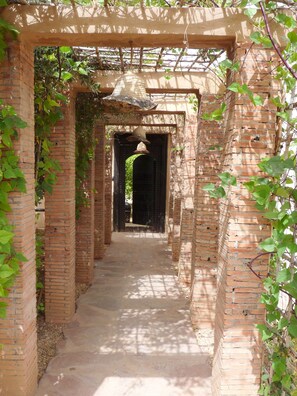 Vista desde la habitación