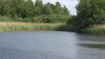 A calm body of water surrounded by dense greenery and trees.