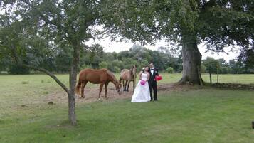 Escena de boda con una novia y un novio en un campo de hierba, dos caballos y un árbol grande.