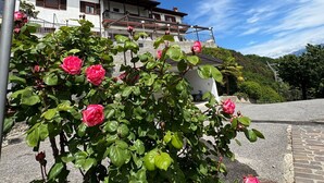 A building with a white facade and brown roof, surrounded by greenery and pink roses. - Cà Vecia (Gargnano)