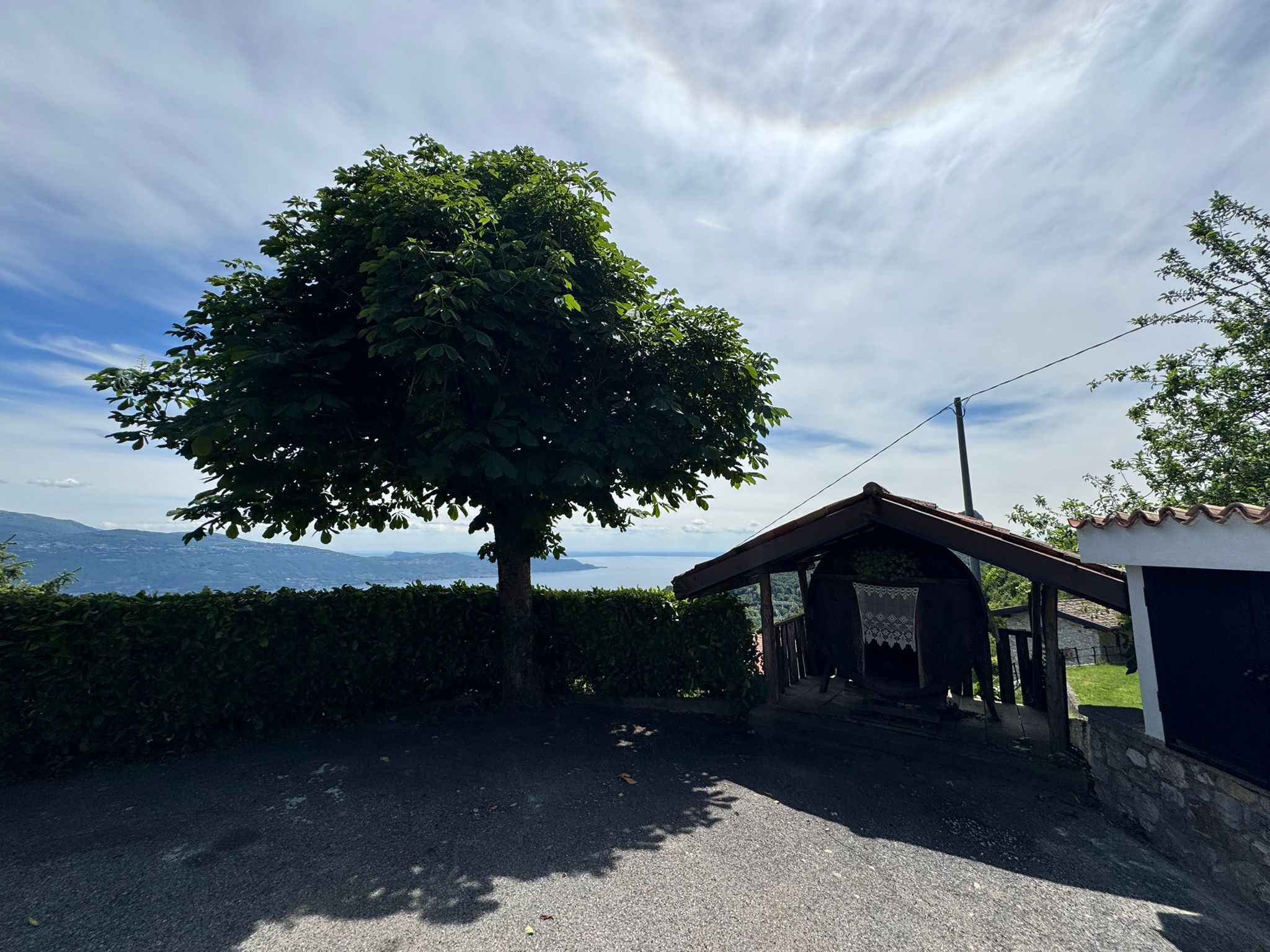 Una casa rural con un gran árbol frente a ella, un camino de entrada pavimentado y vistas a colinas distantes.