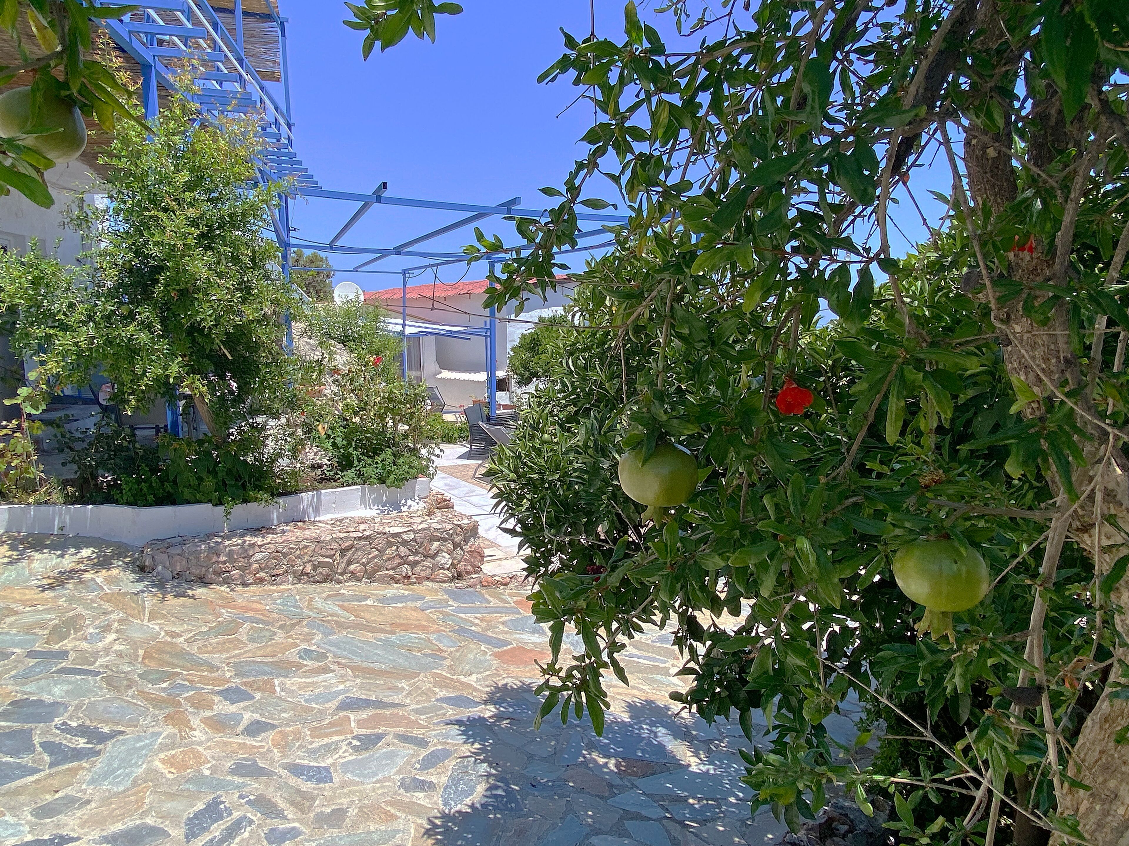 Une cour avec un sol en pierre, des plantes en pot et un escalier bleu.