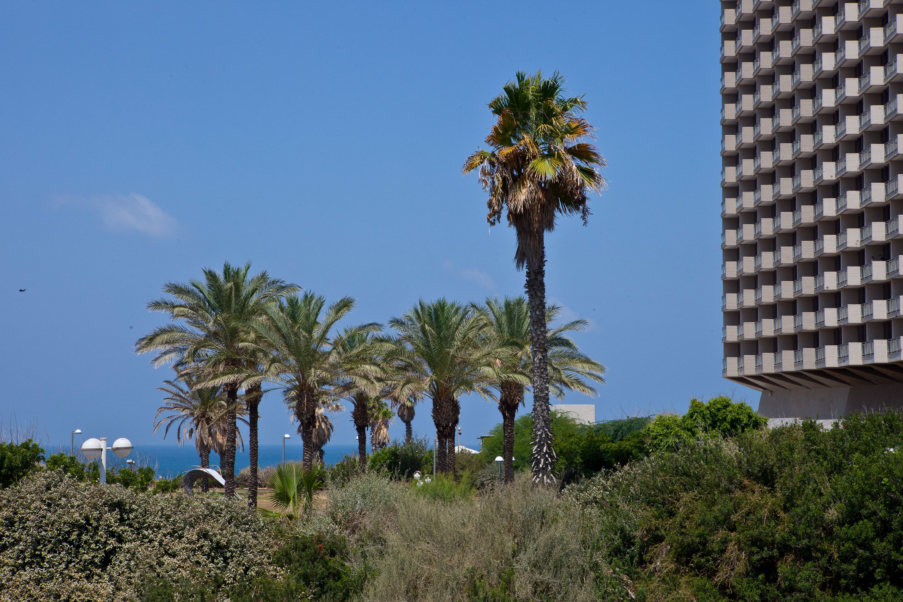 Deluxe Apartment, 2 Bedrooms | City view