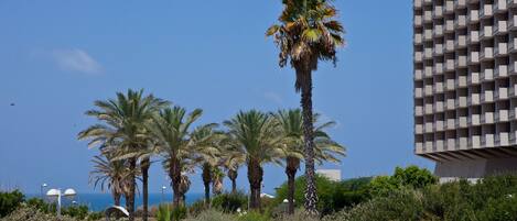 Deluxe Apartment, 2 Bedrooms | City view