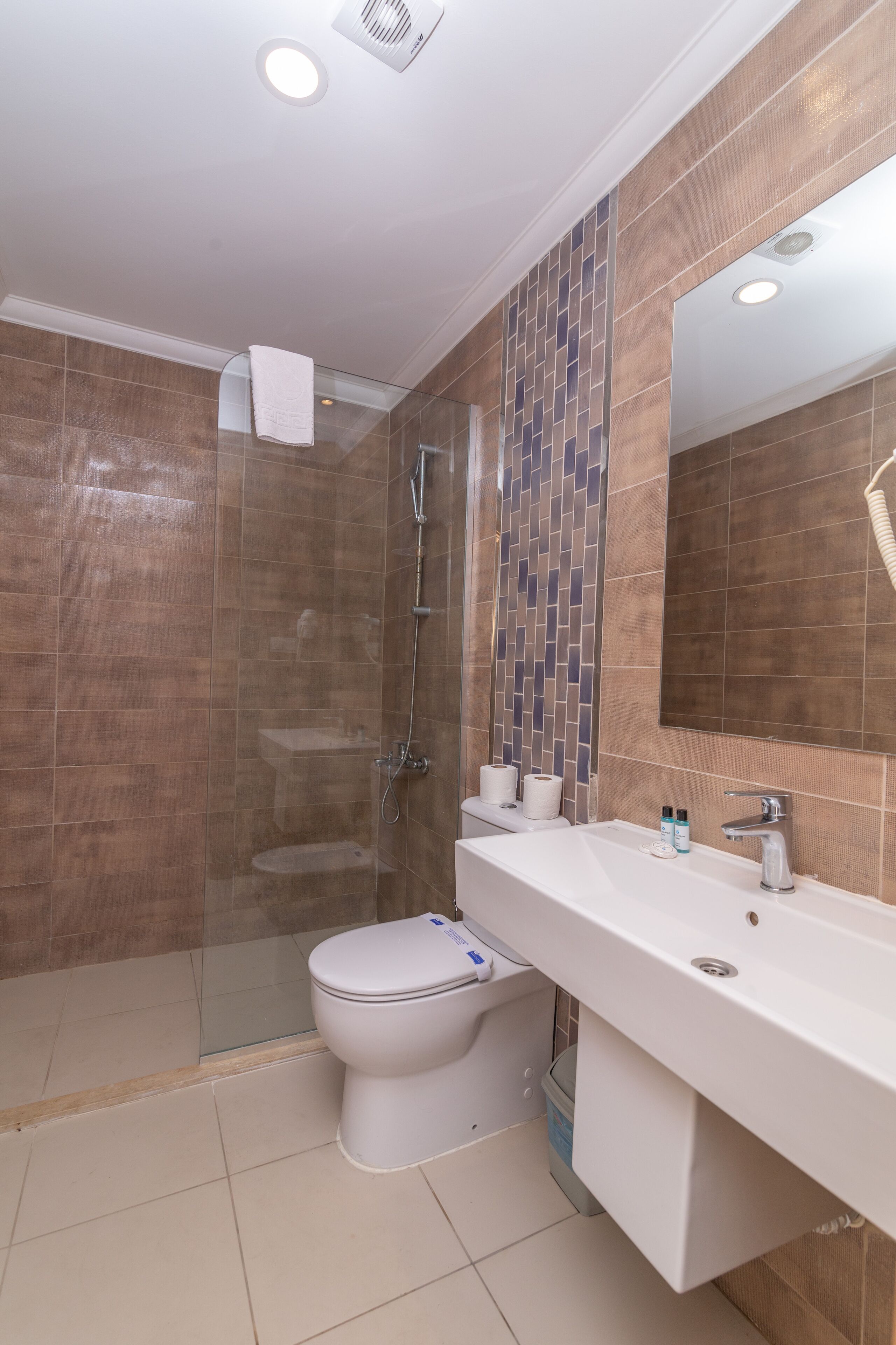 A modern bathroom with a glass-enclosed shower, a white toilet, and a vanity with a mirror.
