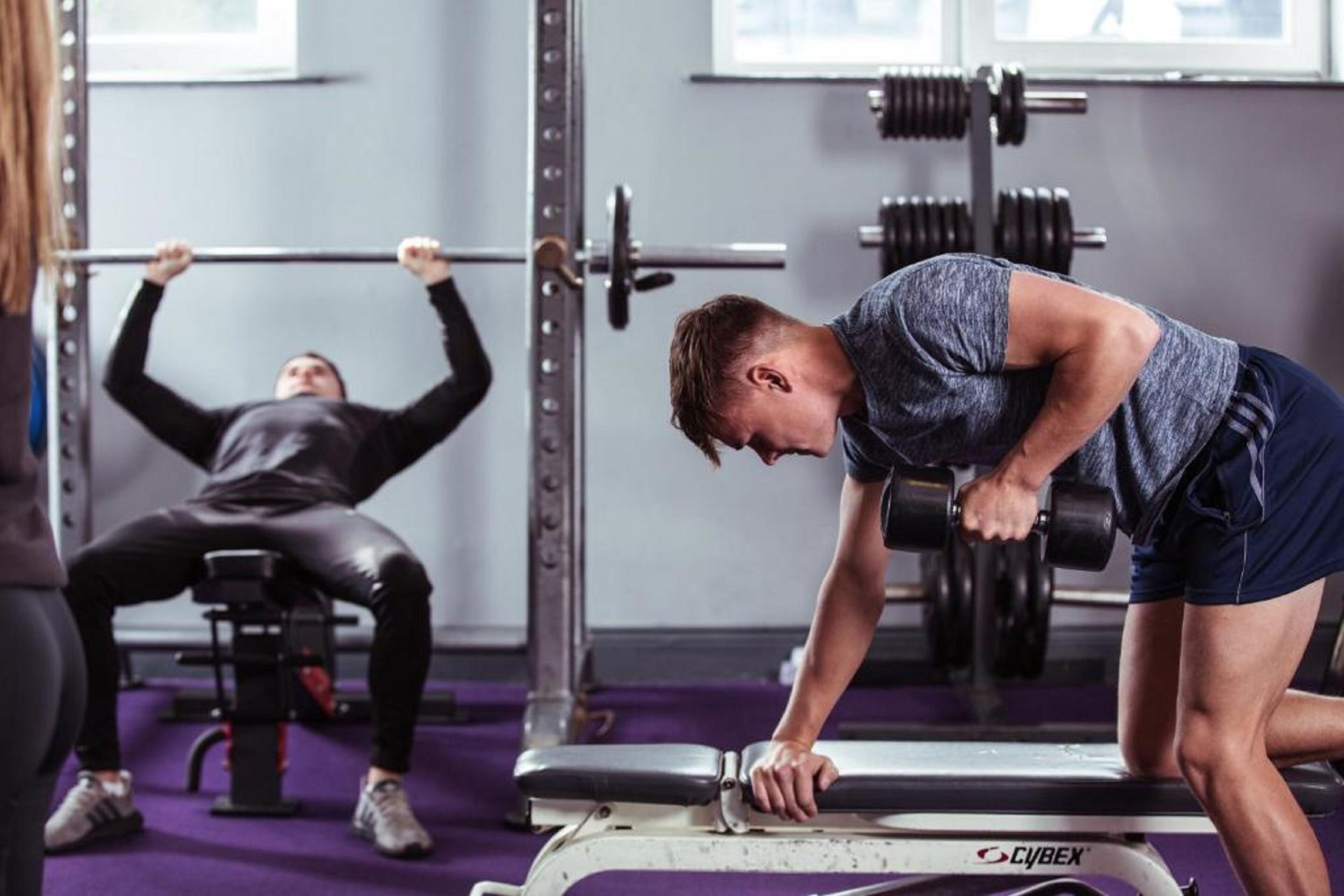 A gym with weightlifting equipment, including a bench and a squat rack.