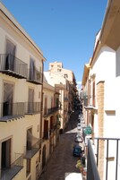 Vista desde la propiedad