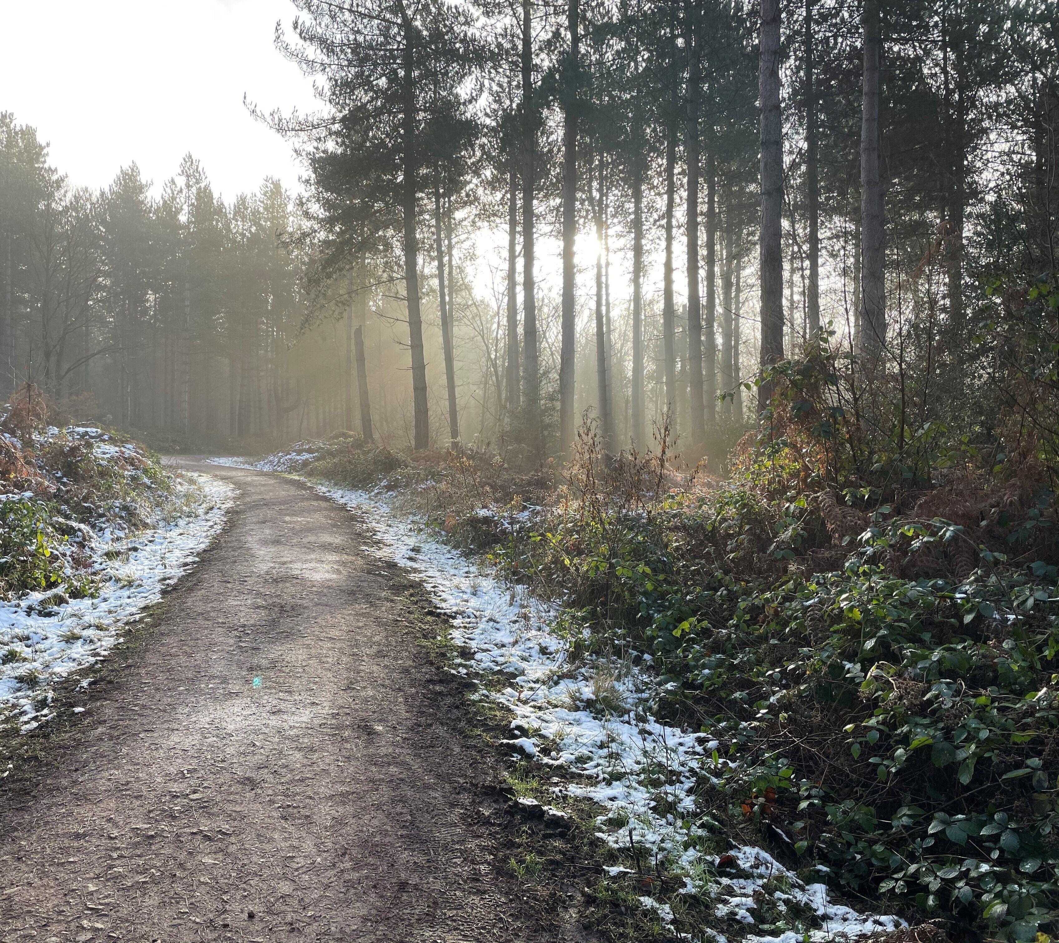 Foto - Harpur's of Melbourne