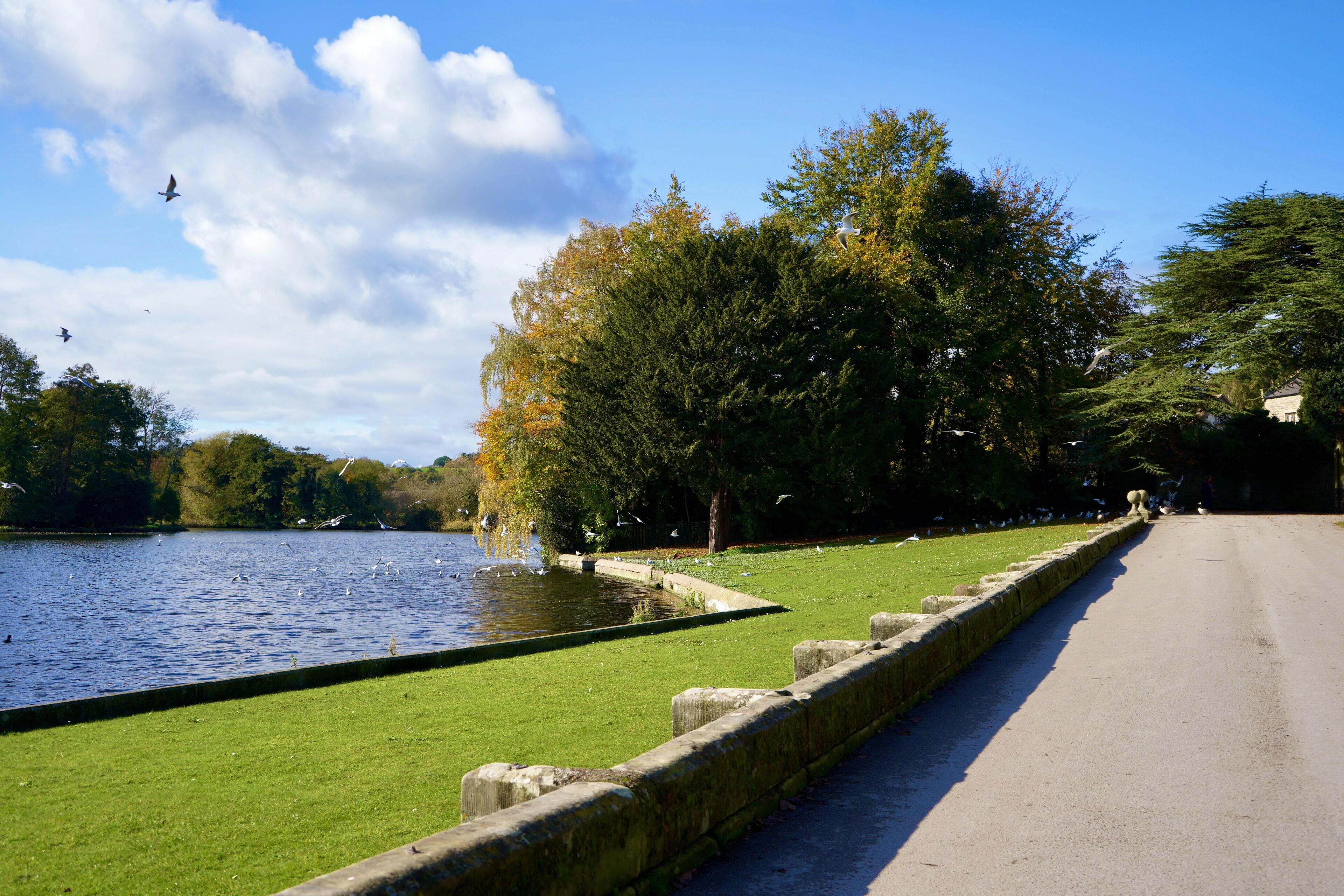 Foto - Harpur's of Melbourne