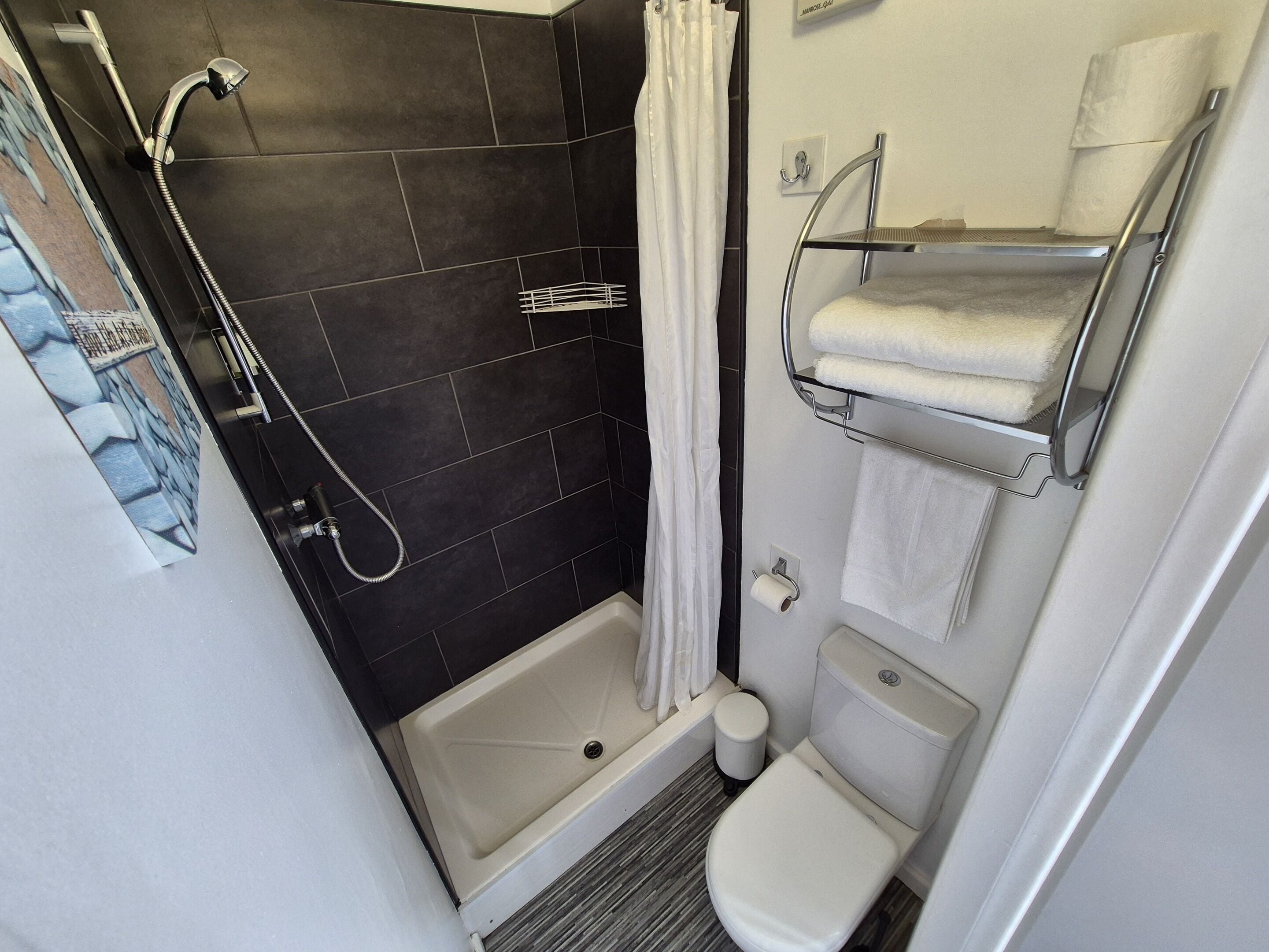 A bathroom with a shower, toilet, and a towel rack.