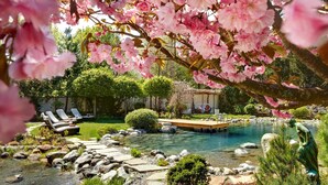 Un jardín tranquilo con una piscina cristalina, senderos de piedra y sillones de descanso.